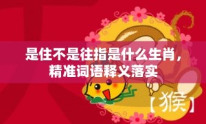 是住不是往指是什么生肖，精准词语释义落实