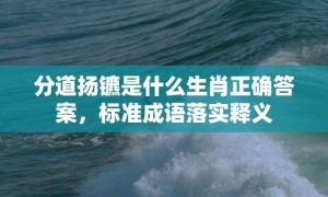 分道扬镳是什么生肖正确答案，标准成语落实释义