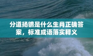 分道扬镳是什么生肖正确答案，标准成语落实释义