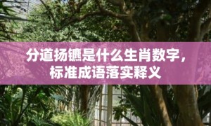 分道扬镳是什么生肖数字，标准成语落实释义