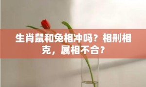 生肖鼠和兔相冲吗？相刑相克，属相不合？