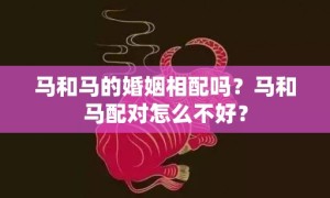 马和马的婚姻相配吗？马和马配对怎么不好？