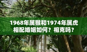 1968年属猴和1974年属虎相配婚姻如何？相克吗？