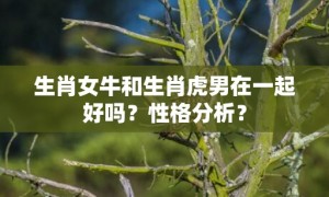 生肖女牛和生肖虎男在一起好吗？性格分析？