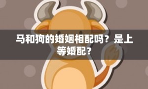 马和狗的婚姻相配吗？是上等婚配？