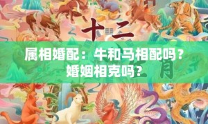 属相婚配：牛和马相配吗？婚姻相克吗？