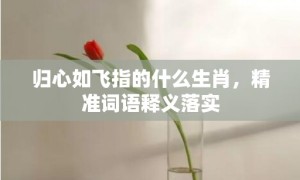 归心如飞指的什么生肖，精准词语释义落实