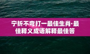 宁折不弯打一最佳生肖·最佳释义成语解释最佳答