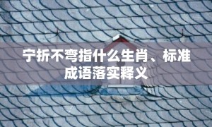 宁折不弯指什么生肖、标准成语落实释义