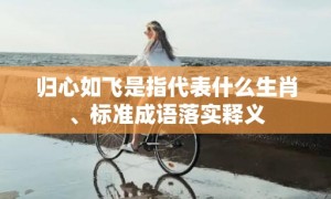 归心如飞是指代表什么生肖、标准成语落实释义