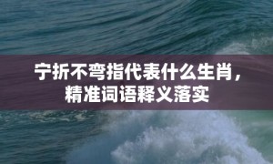 宁折不弯指代表什么生肖，精准词语释义落实