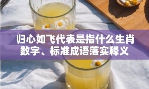 归心如飞代表是指什么生肖数字、标准成语落实释义