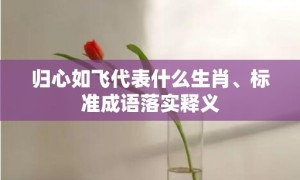 归心如飞代表什么生肖、标准成语落实释义