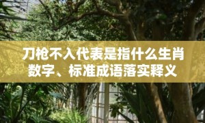 刀枪不入代表是指什么生肖数字、标准成语落实释义