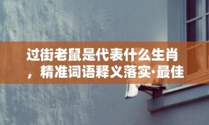 过街老鼠是代表什么生肖 ，精准词语释义落实·最佳释义成语解释最佳答