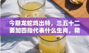 今期龙蛇鸡出特，三五十二要加四指代表什么生肖，精准词语释义落实