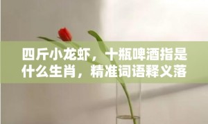 四斤小龙虾，十瓶啤酒指是什么生肖，精准词语释义落实