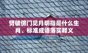 劈破傍门见月明指是什么生肖、标准成语落实释义