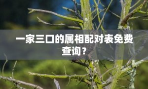 一家三口的属相配对表免费查询？