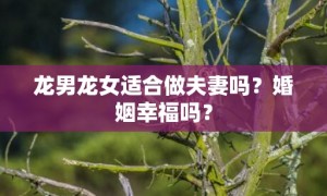 龙男龙女适合做夫妻吗？婚姻幸福吗？