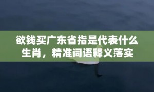 欲钱买广东省指是代表什么生肖，精准词语释义落实