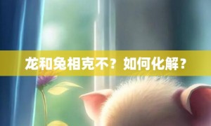 龙和兔相克不？如何化解？