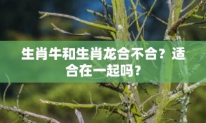 生肖牛和生肖龙合不合？适合在一起吗？