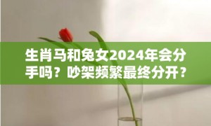 生肖马和兔女2024年会分手吗？吵架频繁最终分开？