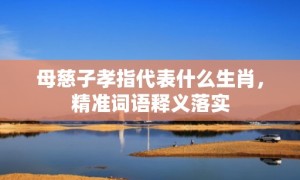 母慈子孝指代表什么生肖，精准词语释义落实