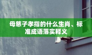 母慈子孝指的什么生肖、标准成语落实释义