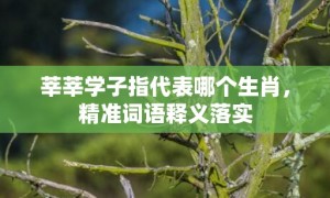 莘莘学子指代表哪个生肖，精准词语释义落实