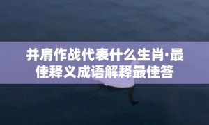 并肩作战代表什么生肖·最佳释义成语解释最佳答