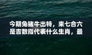 今期兔猪牛出特，来七合六是吉数指代表什么生肖，最佳释义成语解释最佳答