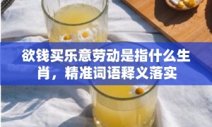 欲钱买乐意劳动是指什么生肖，精准词语释义落实