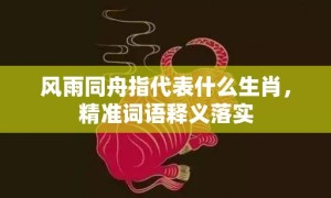 风雨同舟指代表什么生肖，精准词语释义落实