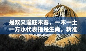 是双又逢旺木春，一木一土一方水代表指是生肖，精准词语释义落实