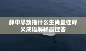 静中思动指什么生肖最佳释义成语解释最佳答