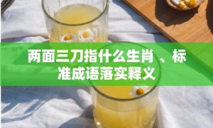 两面三刀指什么生肖 、标准成语落实释义