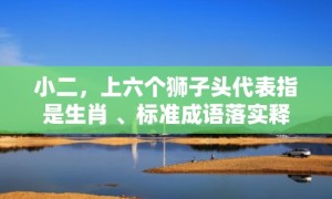 小二，上六个狮子头代表指是生肖 、标准成语落实释义