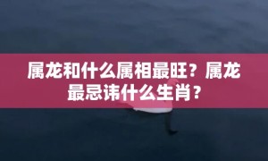 属龙和什么属相最旺？属龙最忌讳什么生肖？