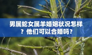 男属蛇女属羊婚姻状况怎样？他们可以合婚吗？