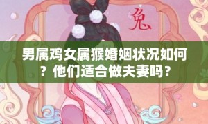 男属鸡女属猴婚姻状况如何？他们适合做夫妻吗？