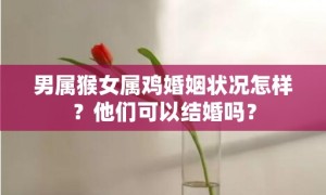 男属猴女属鸡婚姻状况怎样？他们可以结婚吗？