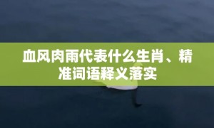 血风肉雨代表什么生肖、精准词语释义落实