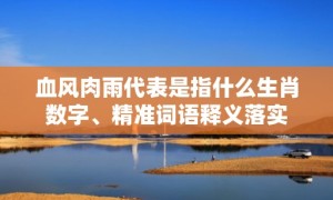 血风肉雨代表是指什么生肖数字、精准词语释义落实