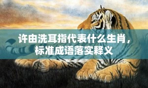 许由洗耳指代表什么生肖，标准成语落实释义