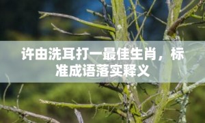 许由洗耳打一最佳生肖，标准成语落实释义