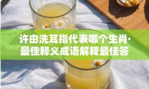 许由洗耳指代表哪个生肖·最佳释义成语解释最佳答