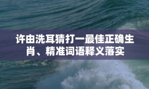 许由洗耳猜打一最佳正确生肖、精准词语释义落实