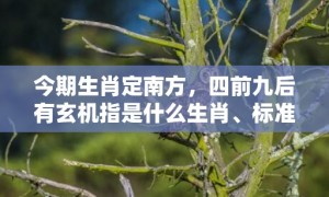 今期生肖定南方，四前九后有玄机指是什么生肖、标准成语落实释义